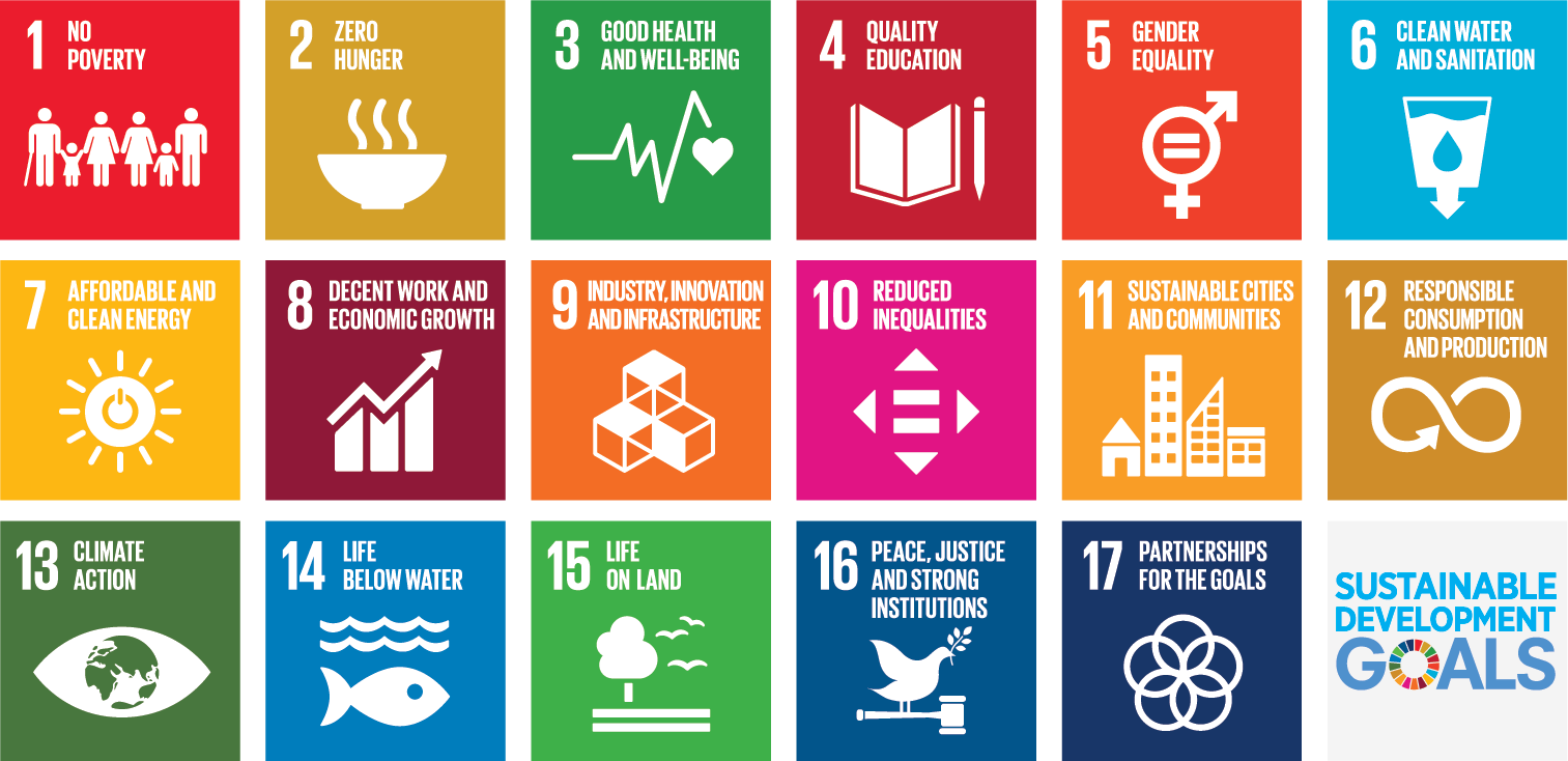 THE GLOBAL GOALS